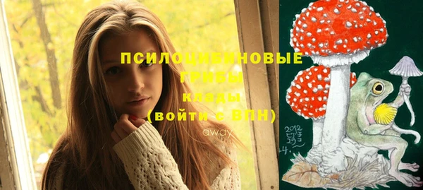 бутират Дмитриев